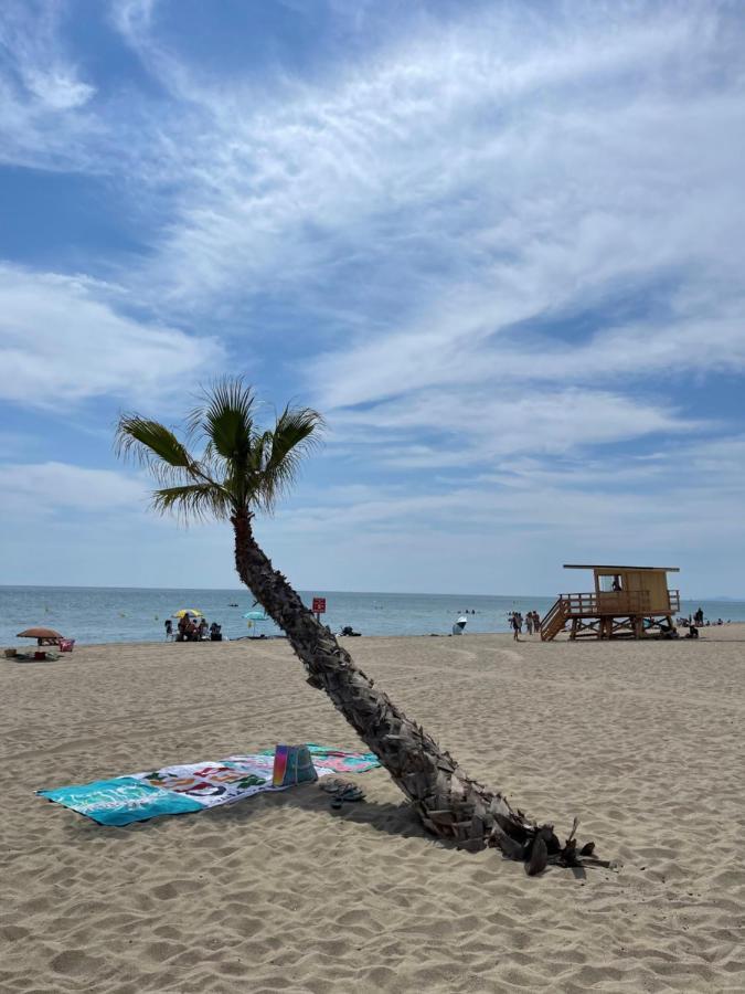 T2 Avec Terrasse, Vue Etang Et Son Coucher De Soleil, Plage A Proximite, Wifi Et Place De Parking Gratuit Que L On Nomme Puesta De Sol Le Barcares Luaran gambar